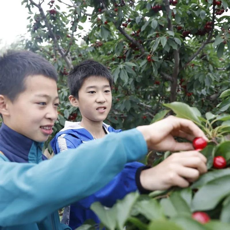 PG电子平台·(中国)官方网站_活动551